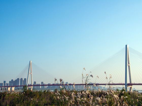 Haikou Chengshi Zhongyang Park