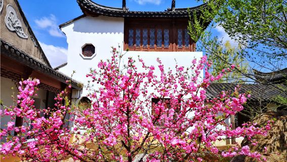 South China Culture Park