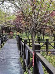 Kunming Country Park