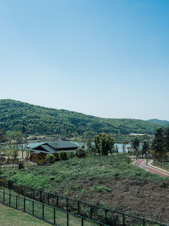 Yongin Nature Recreation Forest