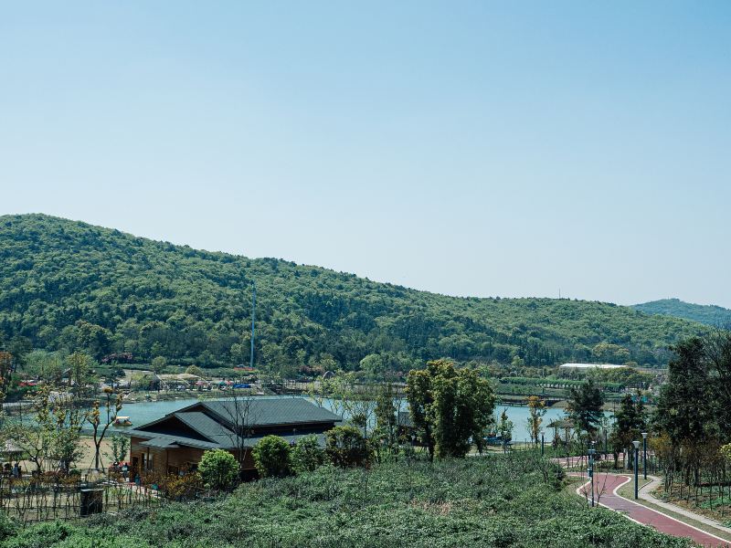 Yongin Nature Recreation Forest