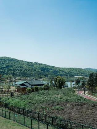 大韓航空 飛 群山