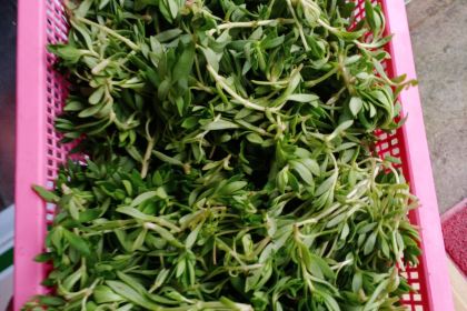 山水人家农家乐