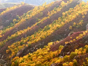 Ma'an Mountain Sceneic Area