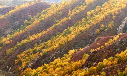 Ma'an Mountain Scenic Area