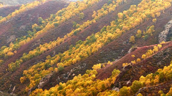 Baotou departure | Ma'anshan + Dongda Mountain 1-day tour