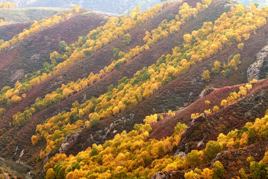 Ma'an Mountain Sceneic Area