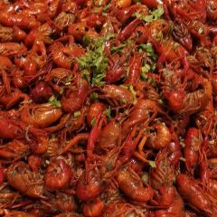 Cafe Grand User Photo