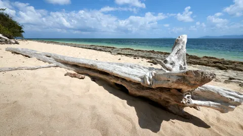 Green Island travel destination