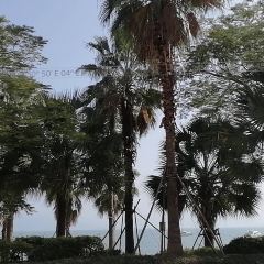 惠州小徑灣艾美酒店·樂美客家海鮮餐廳張用戶圖片