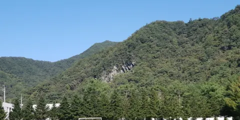 陝安觀光農園