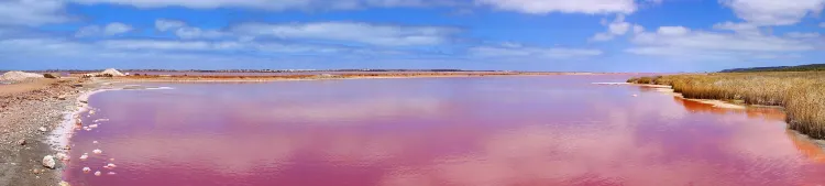 Отзывы об отеле Harris Tashkent