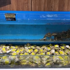 天岳铁板烧 User Photo