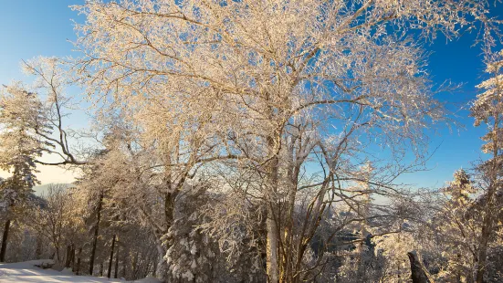 中國雪谷霧凇嶺景區