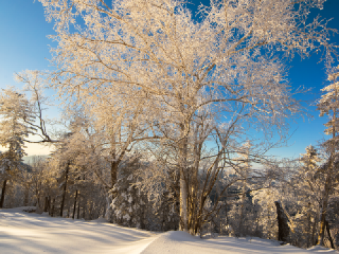 五常10大最佳酒店排名