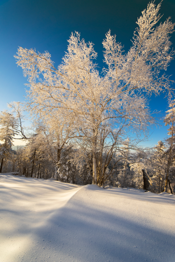 China Snow Valley Wusongling Scenic Area