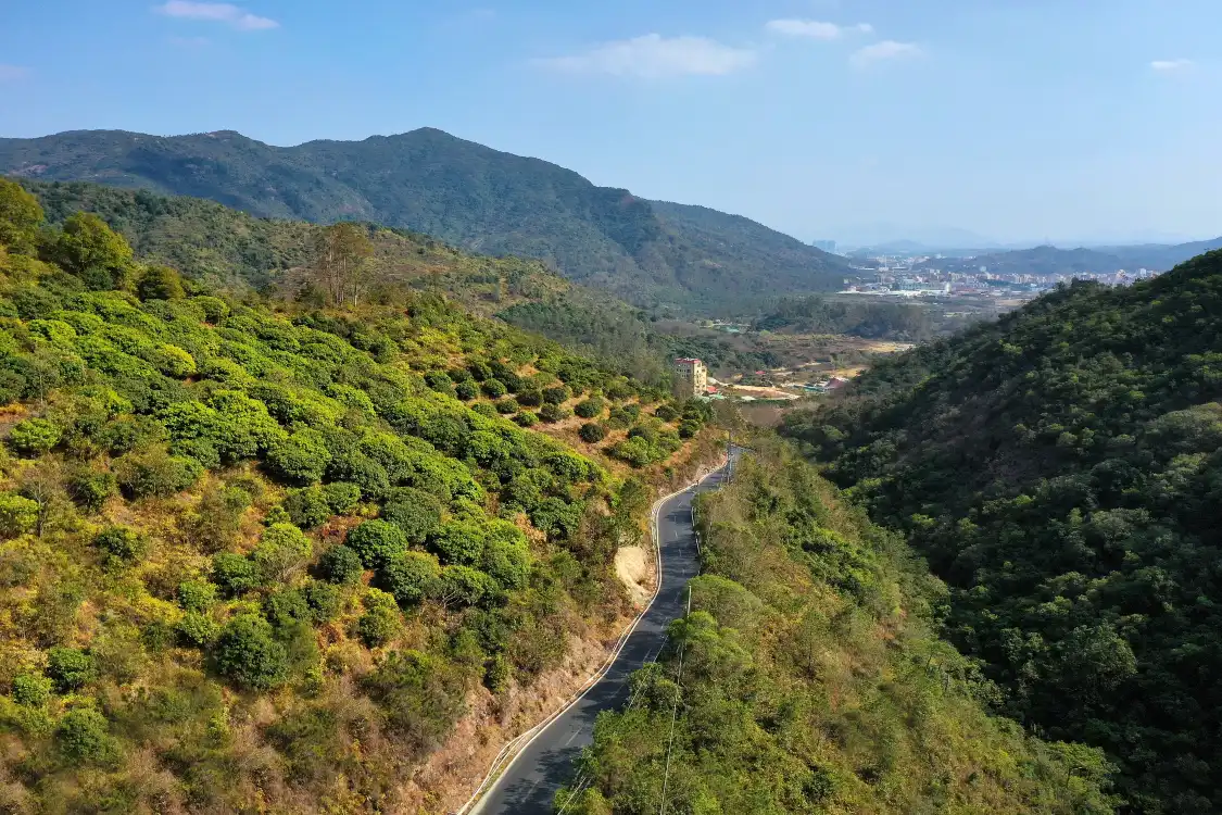 Hôtels à proximité de : Huiyang Baiyunzhang Municipal Nature Reserve