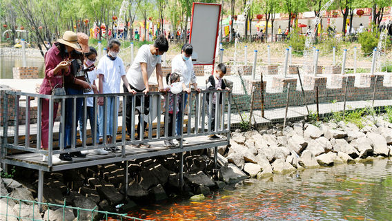 Wolong Bay Health Town