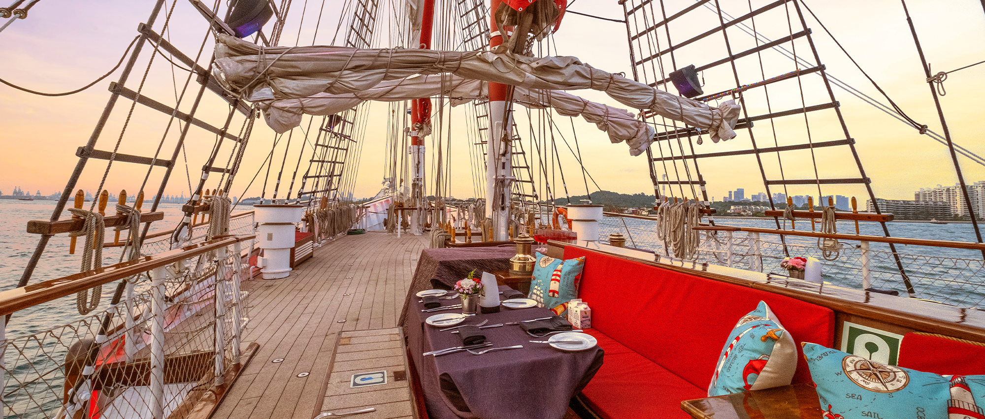 Historical Background Of Royal Albatross