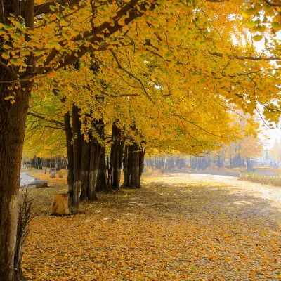 Отзывы об отеле Hilton Garden Inn Heze