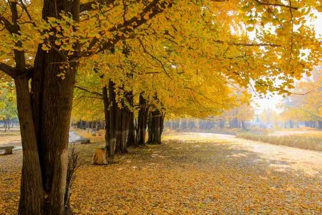 Hotels in Linyi With Breakfast