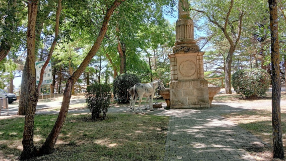 Burgos