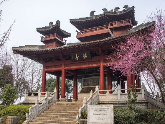 Cliff Carvings, Yiting Pavilion