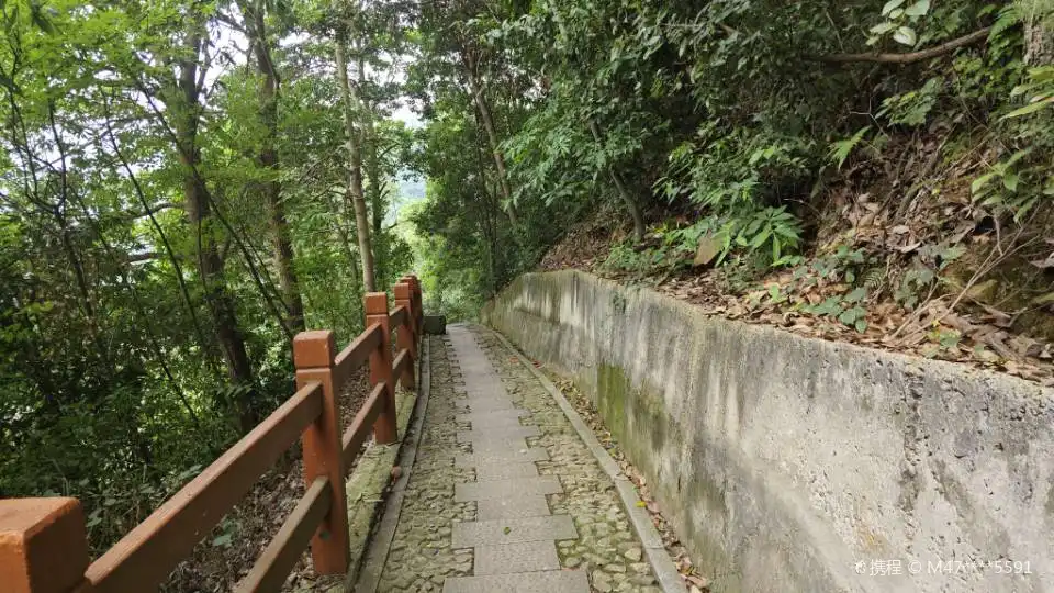 小和山周辺のホテル