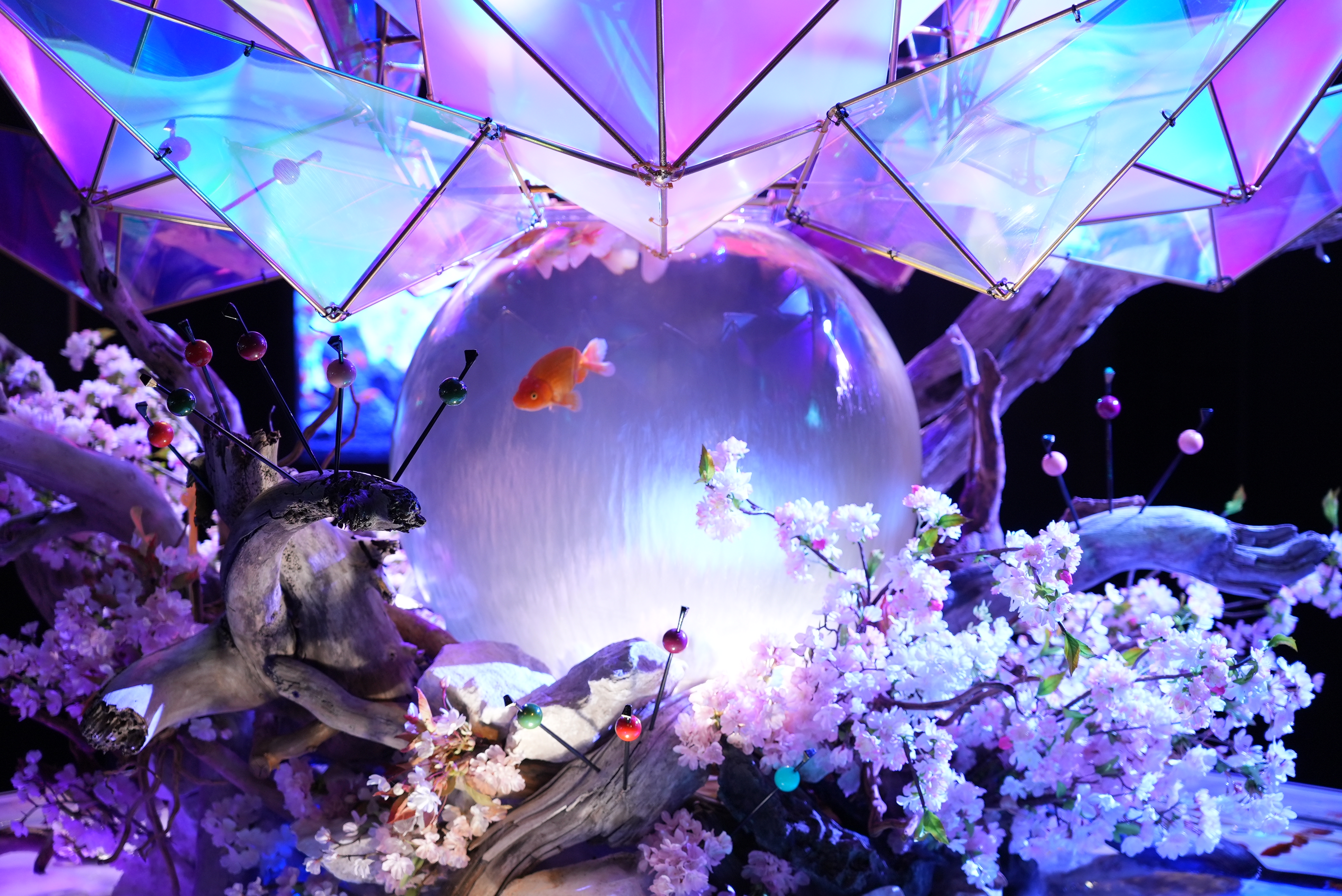 奈良金魚ミュージアム 入館Eチケット 予約