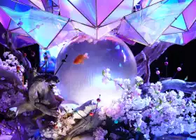 奈良金魚博物館