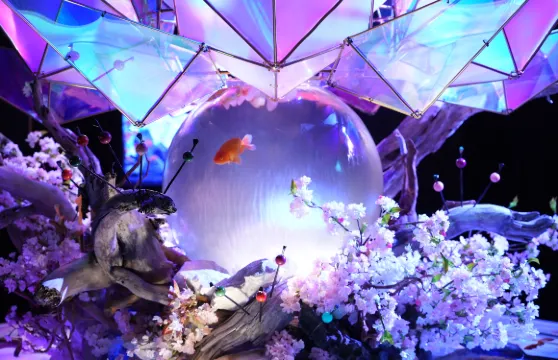 奈良金魚博物館門票長者