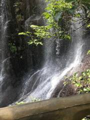 Colorful Waterfall Valley