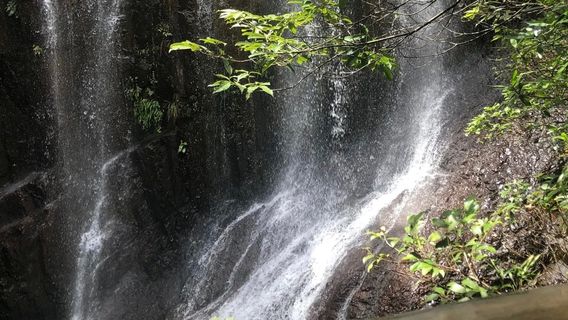 Colorful Waterfall Valley