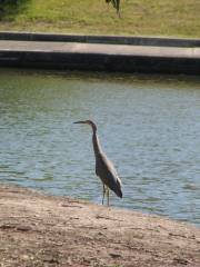 Hendersons Creek Wetlands