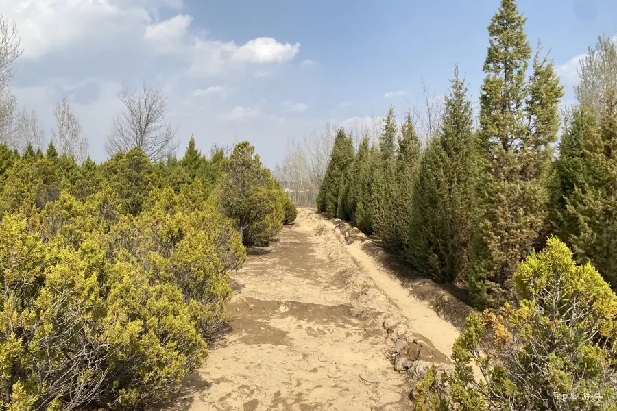 Yulin Rare and Endangered Plants Garden