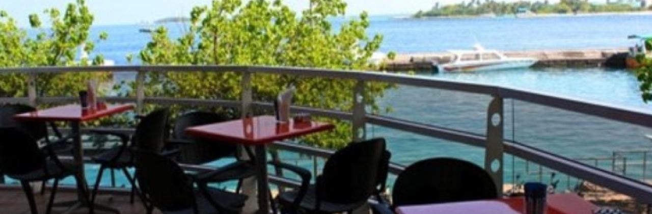 Shell Beans(Jazeera)