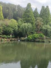 펑쩌위안 식물원
