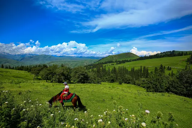 Xinjiang Horseback Riding