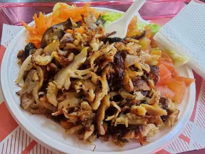 Aladin Kebab