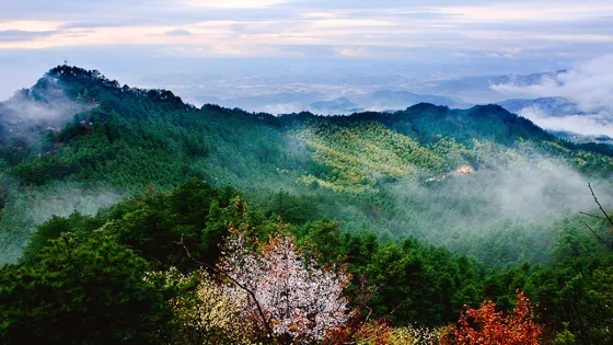 湖北三角山旅遊度假區