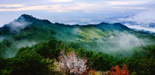 Hubei Mount Sanjiao Tourism and Resort Area