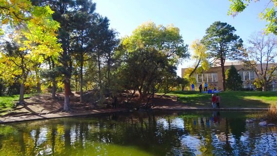 UNM Duck Pond