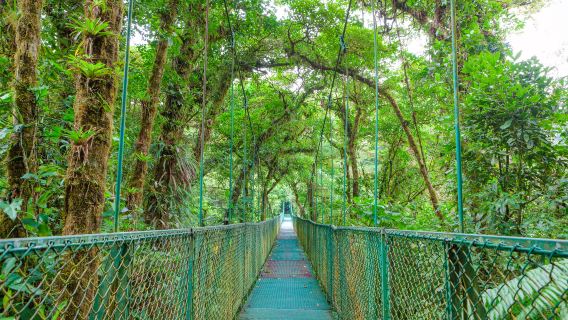 Selvatura Adventure Park