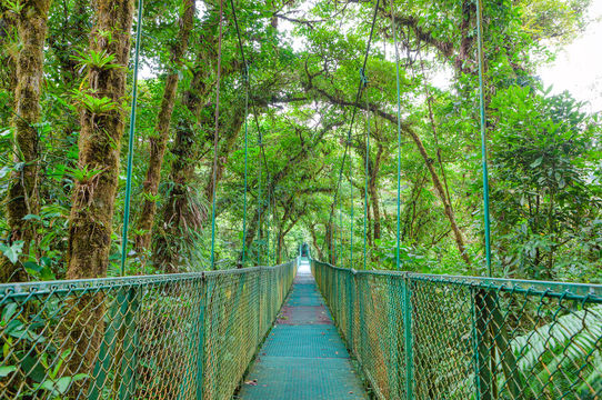 塞爾瓦公園