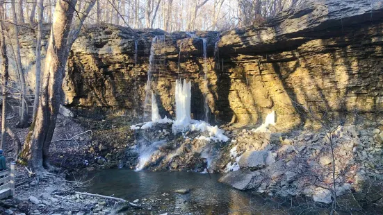 Charleston Falls Preserve