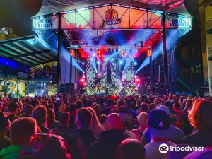 Jannus Live