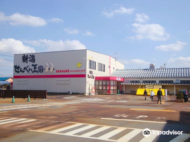 新潟せんべい王国