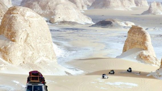 Bahariya Oasis Guide