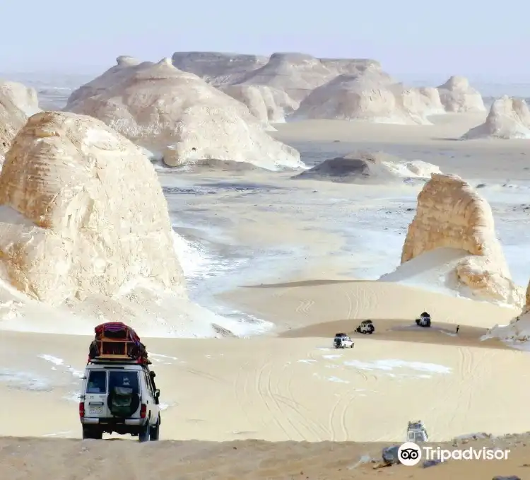 Hotel di Oasis Bahariya