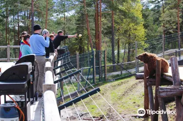 Bear Park